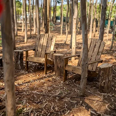 Eucalibrios-tenda Alecrim Reguengo Grande