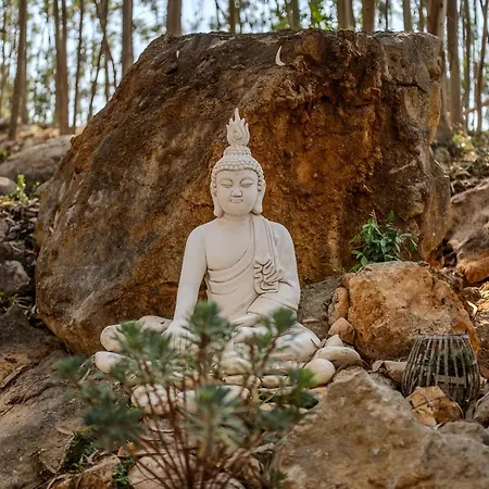Lyxtält Eucalibrios-tenda Alecrim Reguengo Grande
