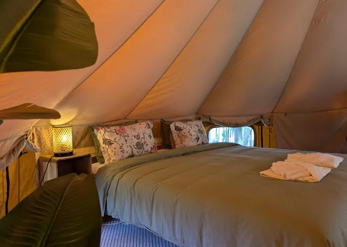 Eucalibrios-tenda Alecrim Reguengo Grande