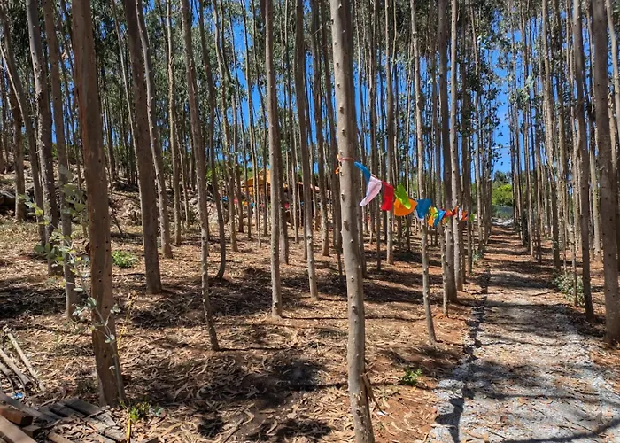 Eucalibrios-tenda Alecrim * Reguengo Grande