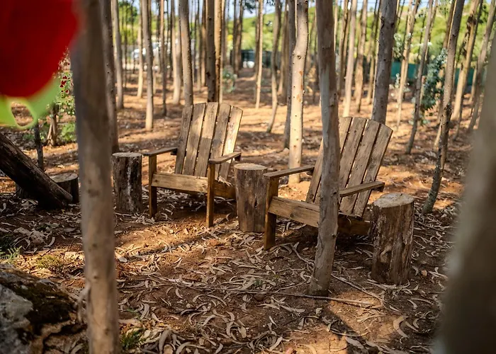 Eucalibrios-tenda Alecrim Reguengo Grande