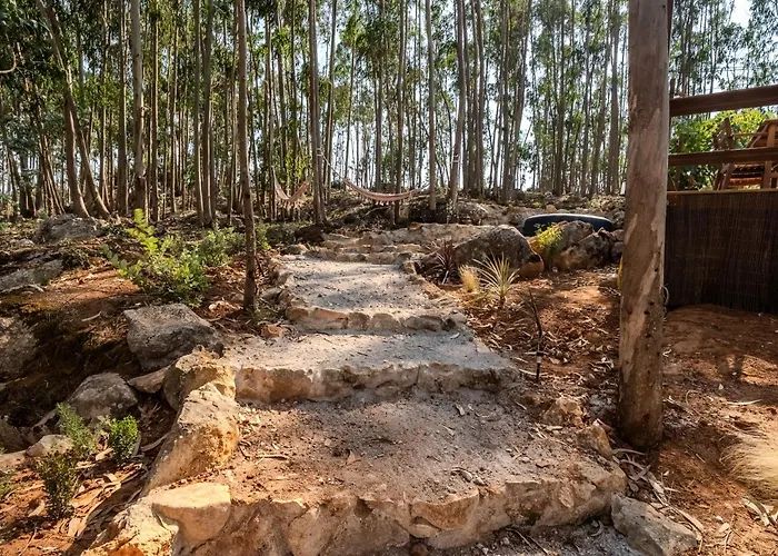 Eucalibrios-tenda Alecrim Campismo de Luxo