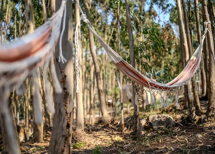 Eucalibrios-tenda Alecrim Campismo de Luxo Reguengo Grande