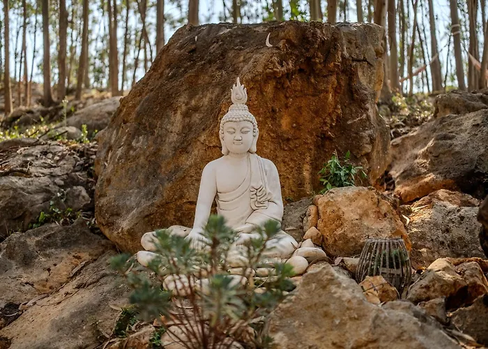Campismo de Luxo Eucalibrios-tenda Alecrim Reguengo Grande